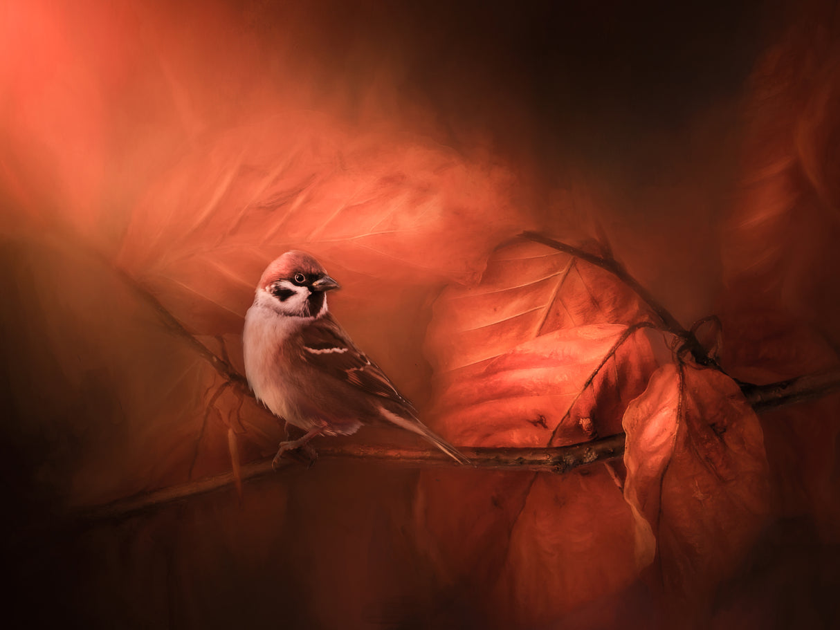 Summer's end Poster och Canvastavla