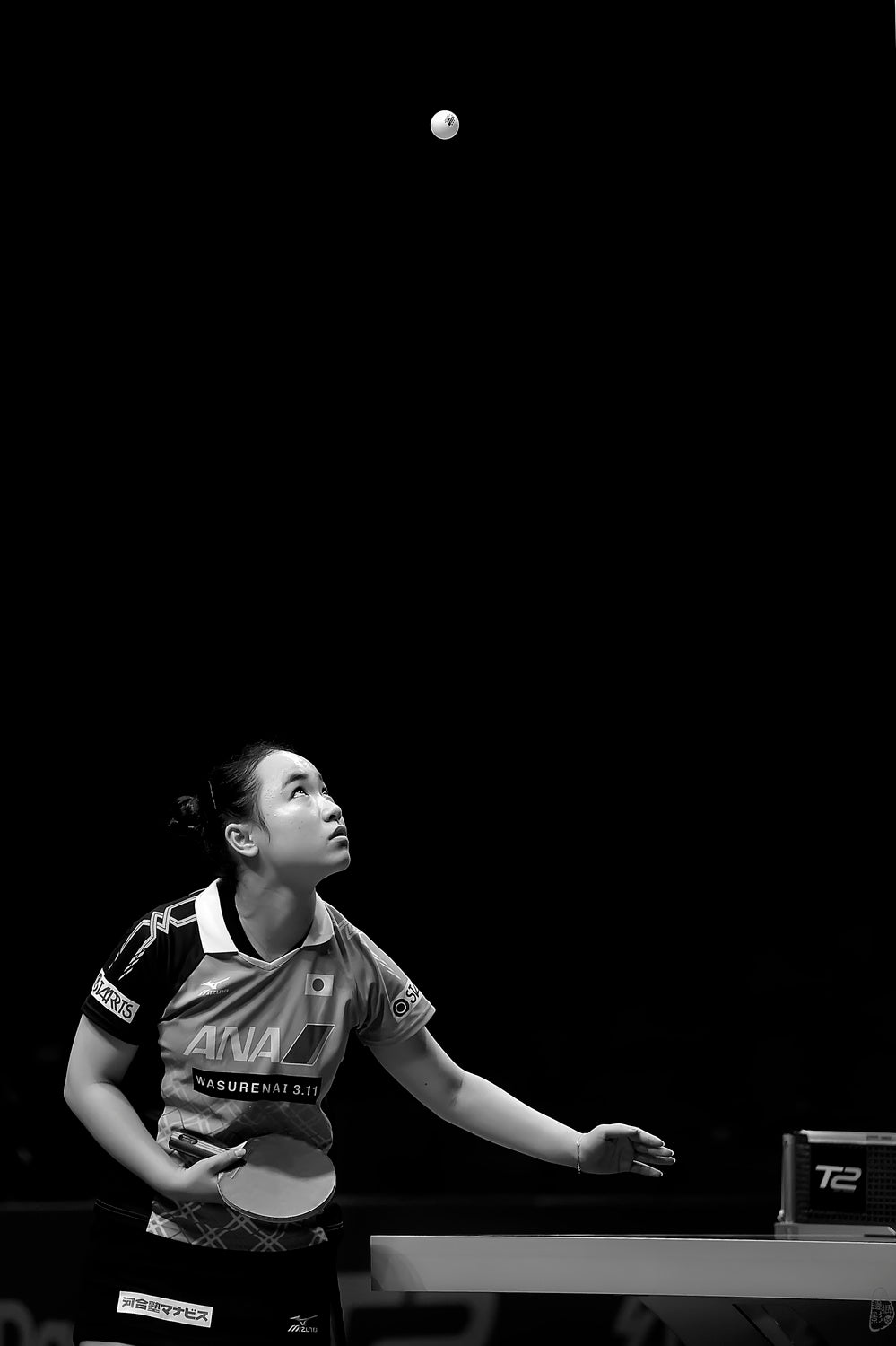 Serving Poster och Canvastavla
