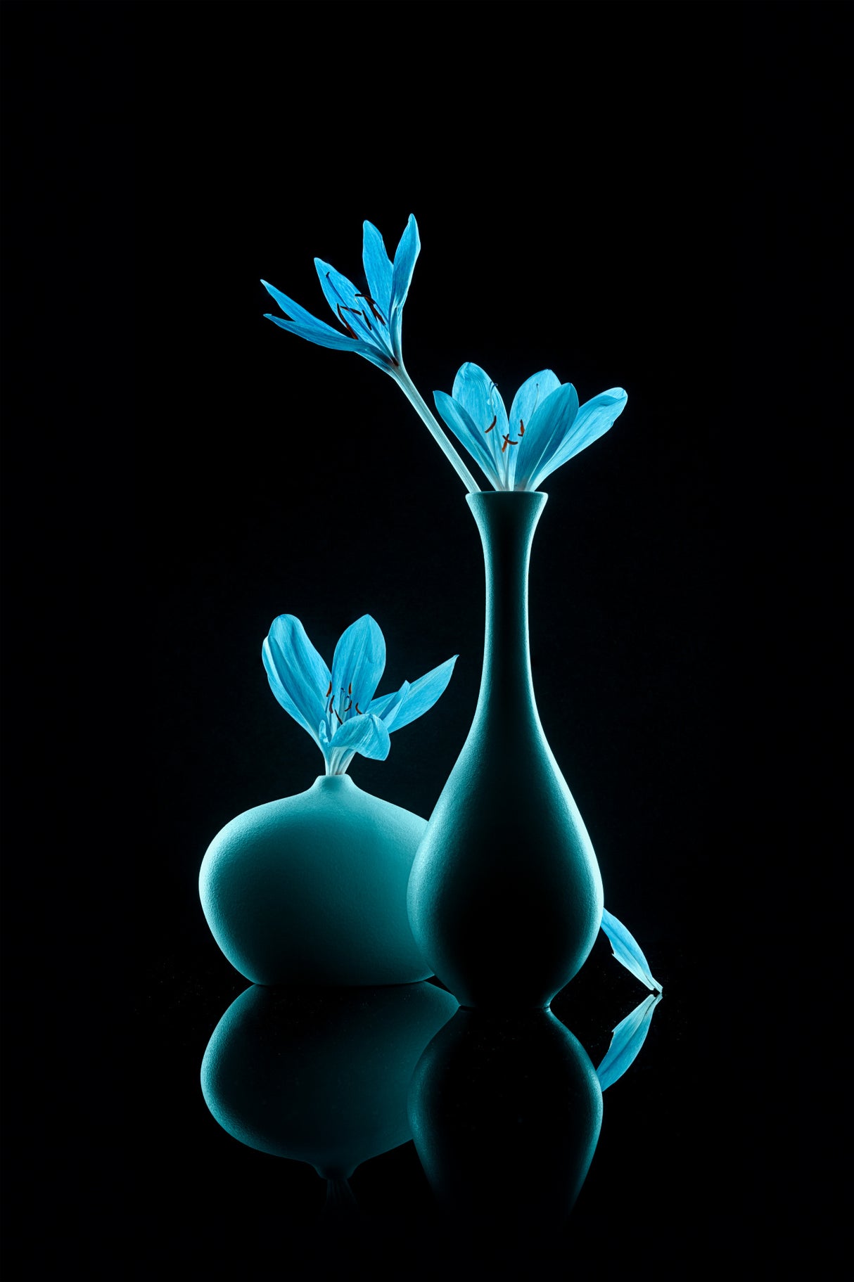 Lovely blue flowers Poster och Canvastavla