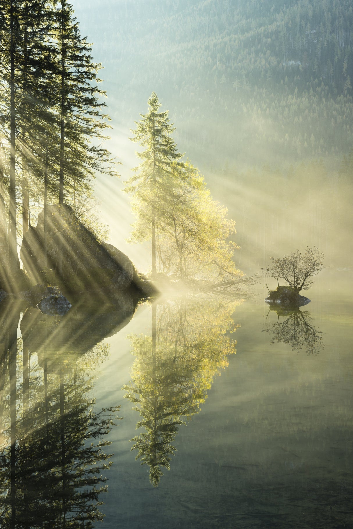 God Rays vertical Poster och Canvastavla
