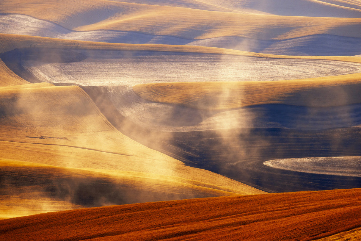 Palouse Impressions Poster och Canvastavla