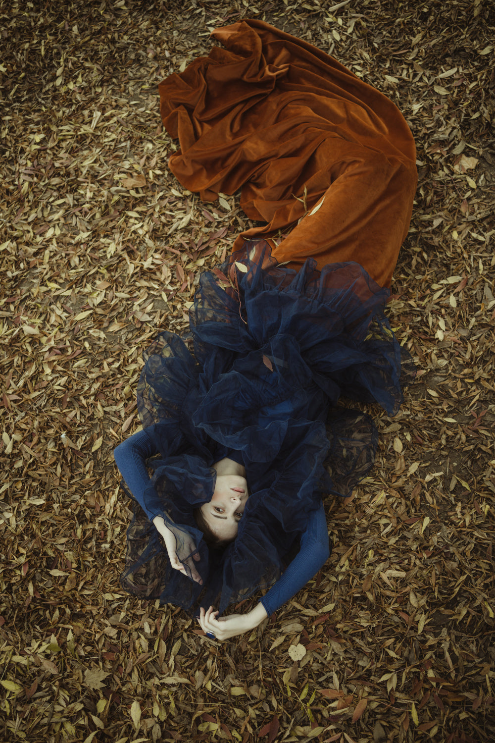 The dream Poster och Canvastavla
