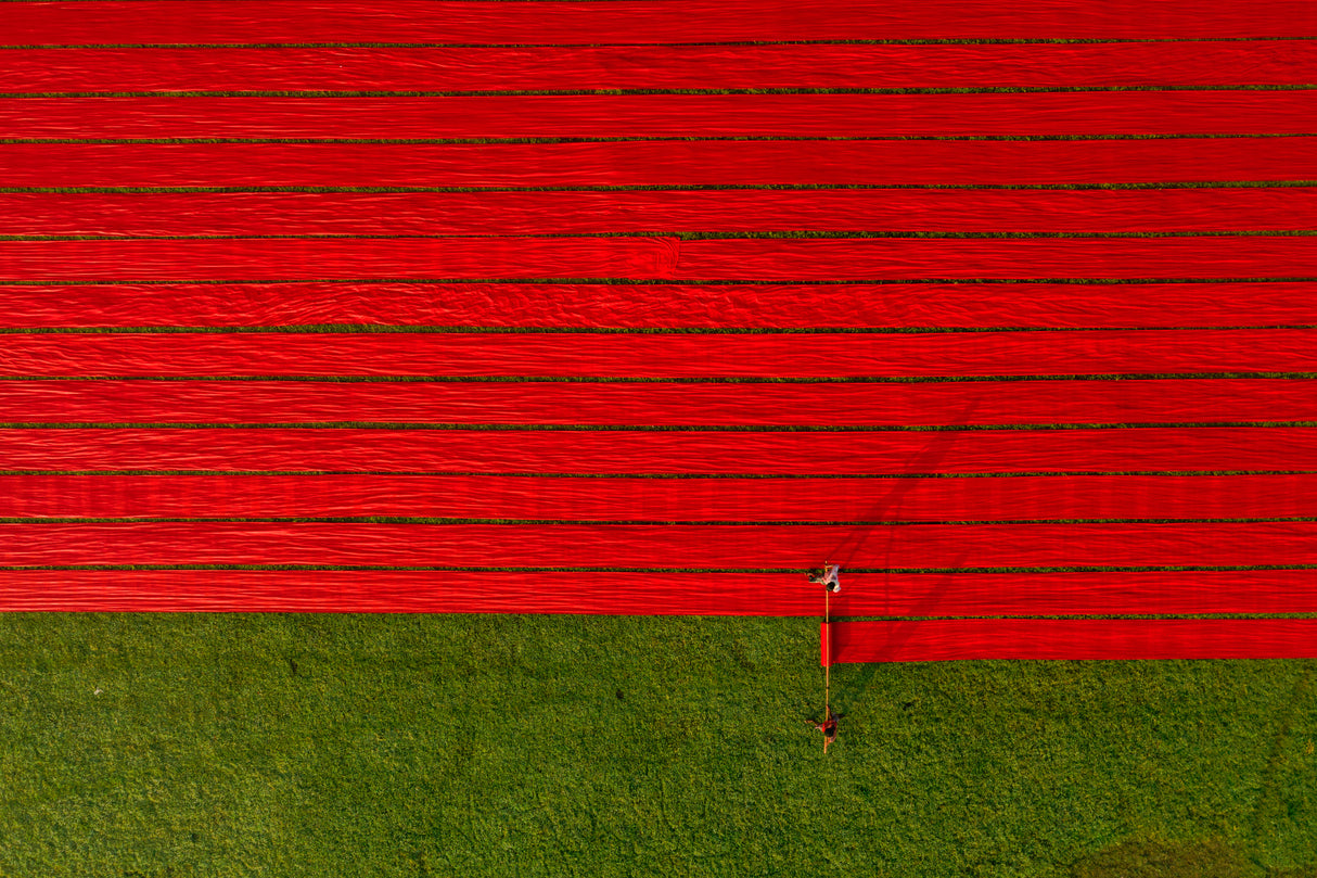 Red fabrics Poster och Canvastavla