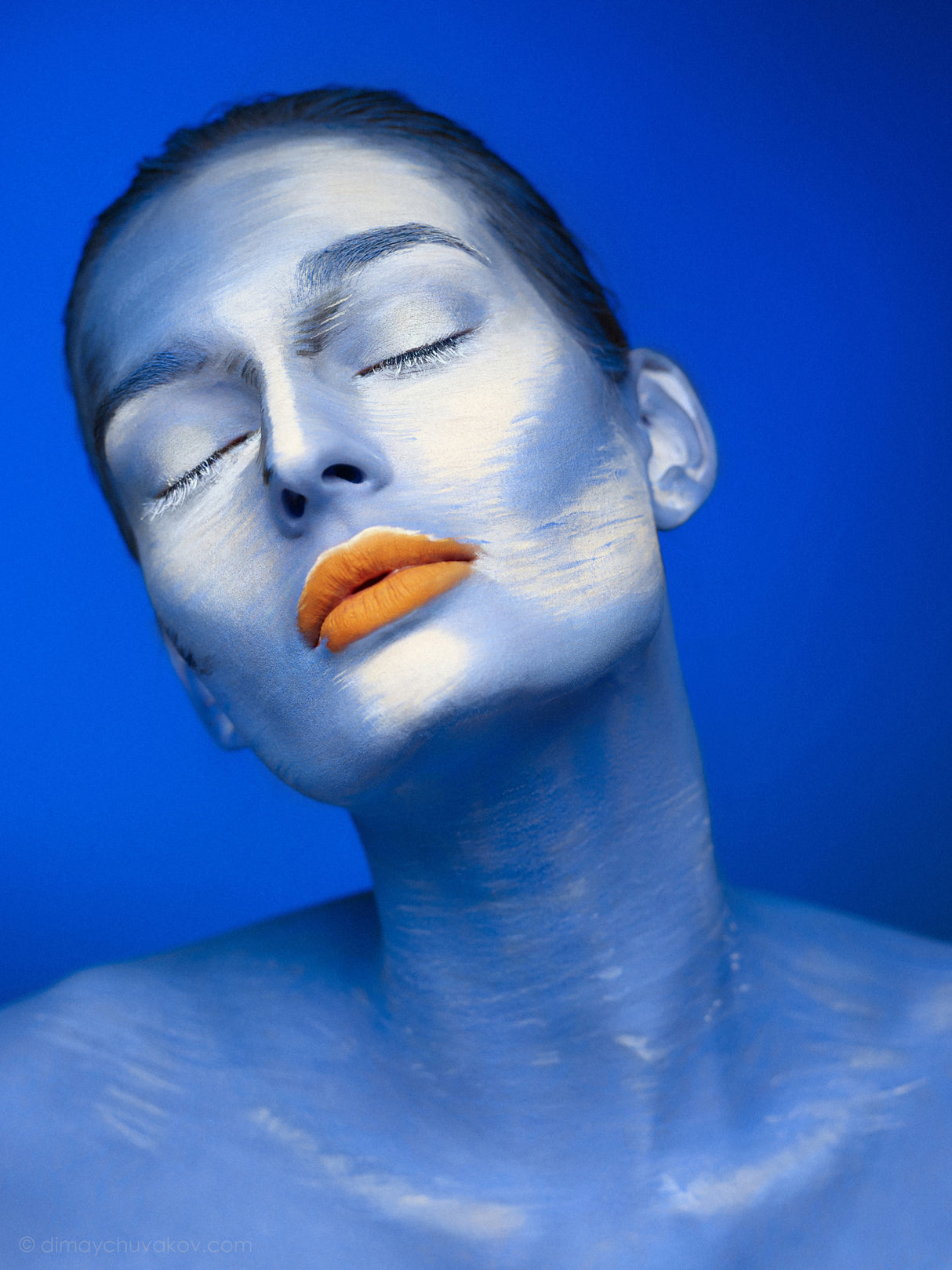 Beauty Art Poster och Canvastavla