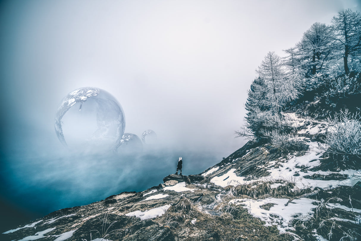 Bubbledream Poster och Canvastavla