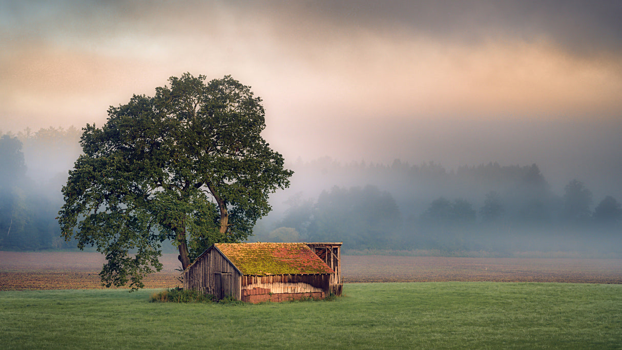 Autumn Impression Poster och Canvastavla
