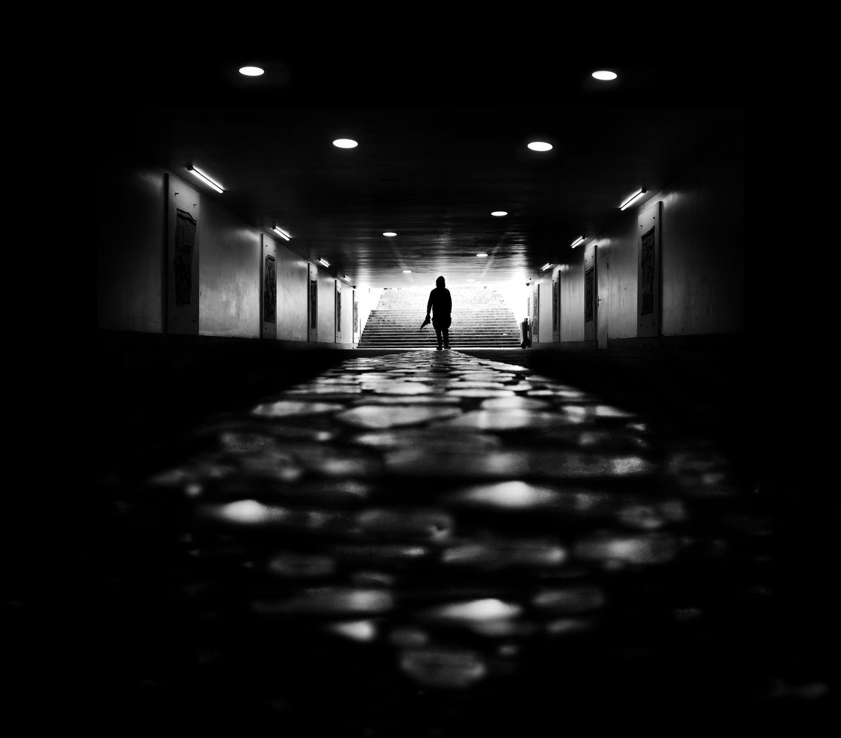 Stars On Your Way Poster och Canvastavla