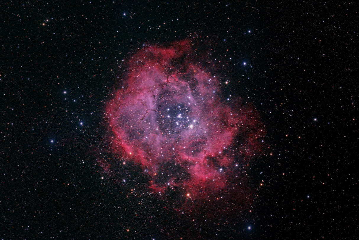 Rosette Nebula Poster och Canvastavla