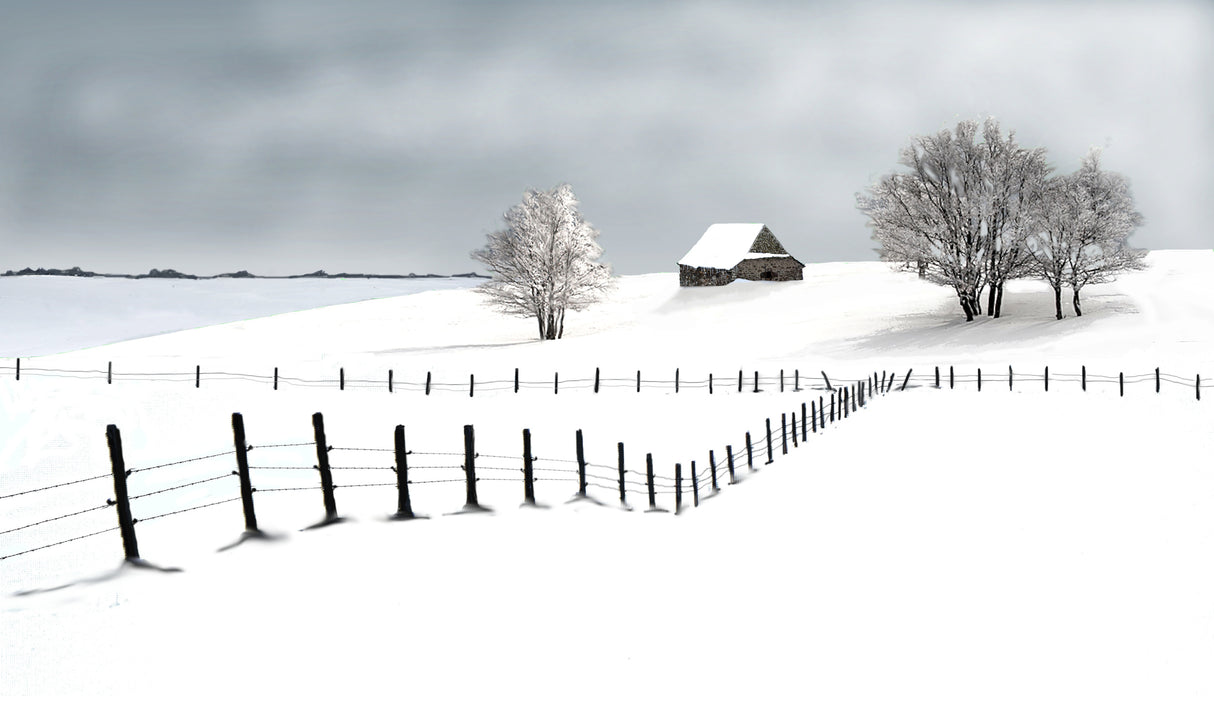 endless winter Poster och Canvastavla
