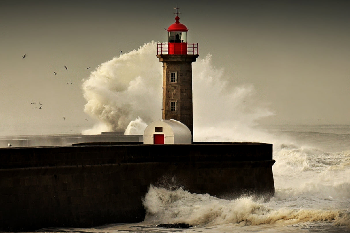 Strength of the sea Poster och Canvastavla