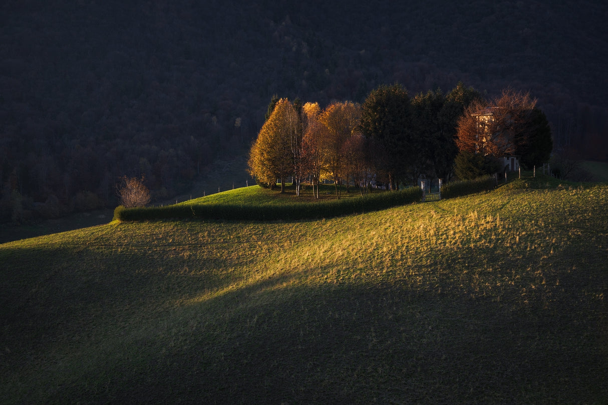 Autumnal light Poster och Canvastavla