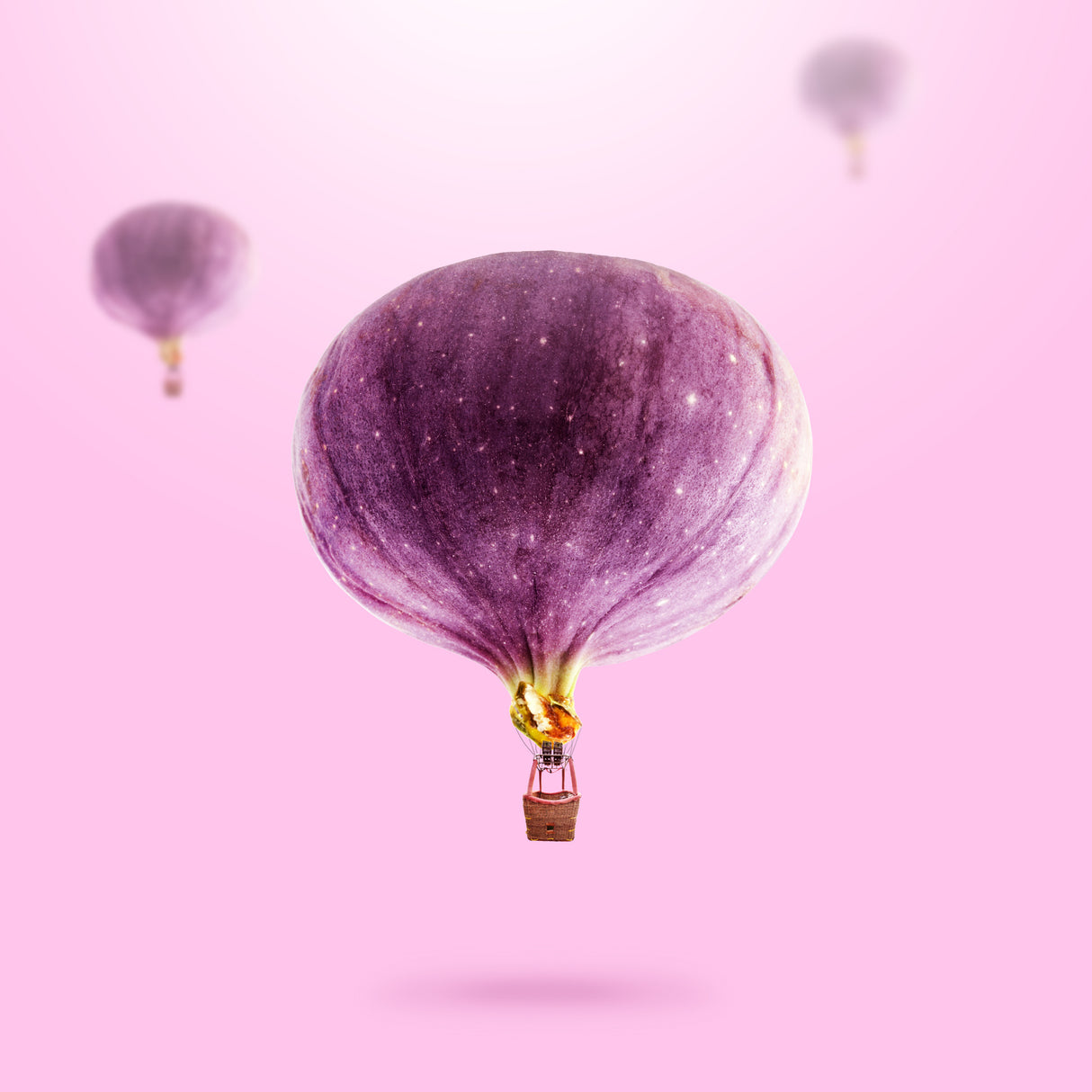 Figs Ballons Poster och Canvastavla