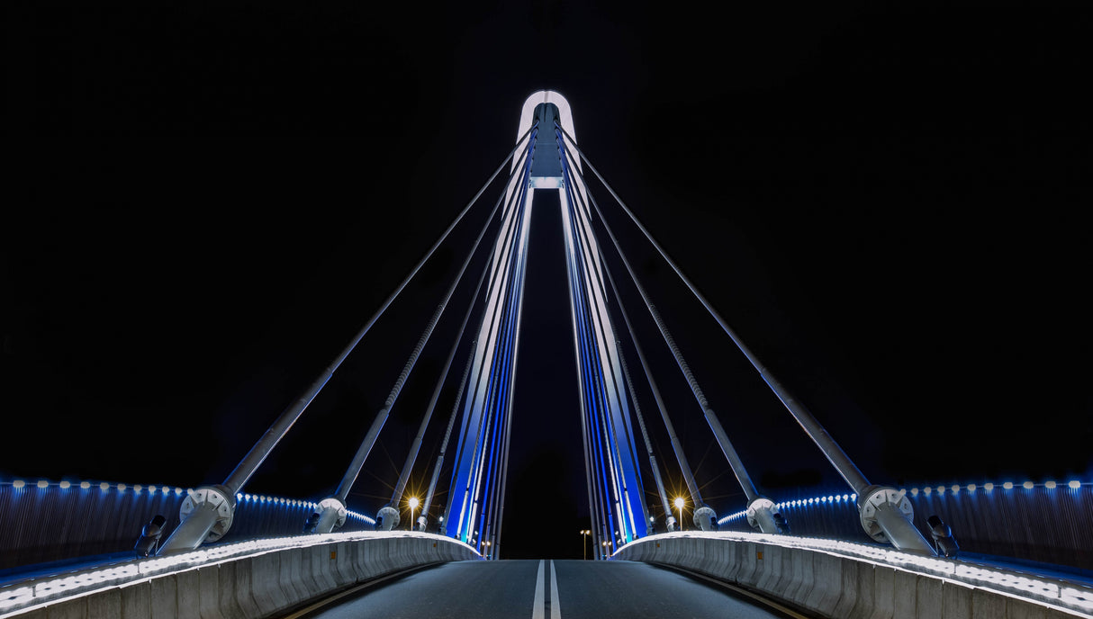 The Bridge Poster och Canvastavla