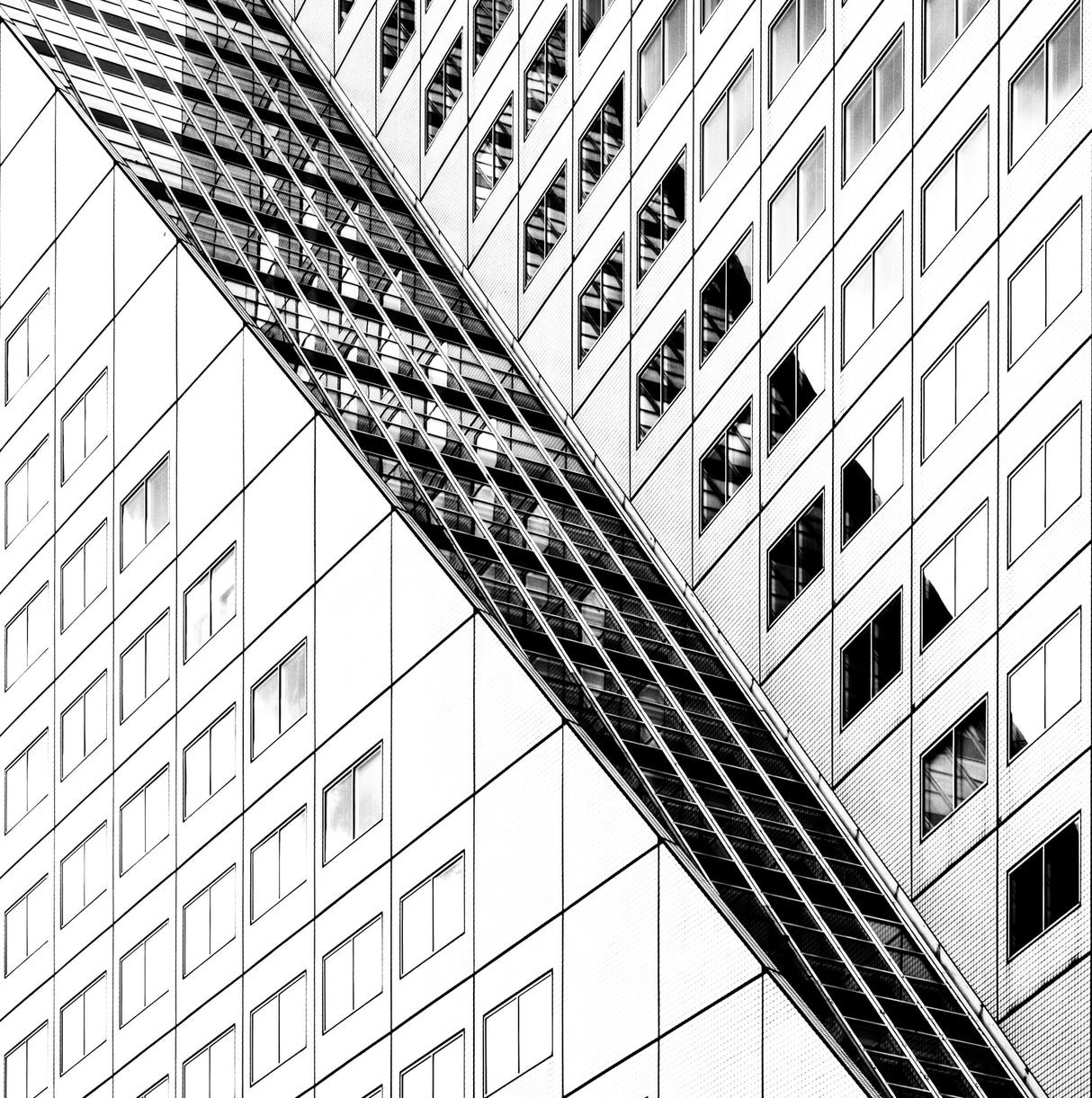 Divided. Poster och Canvastavla