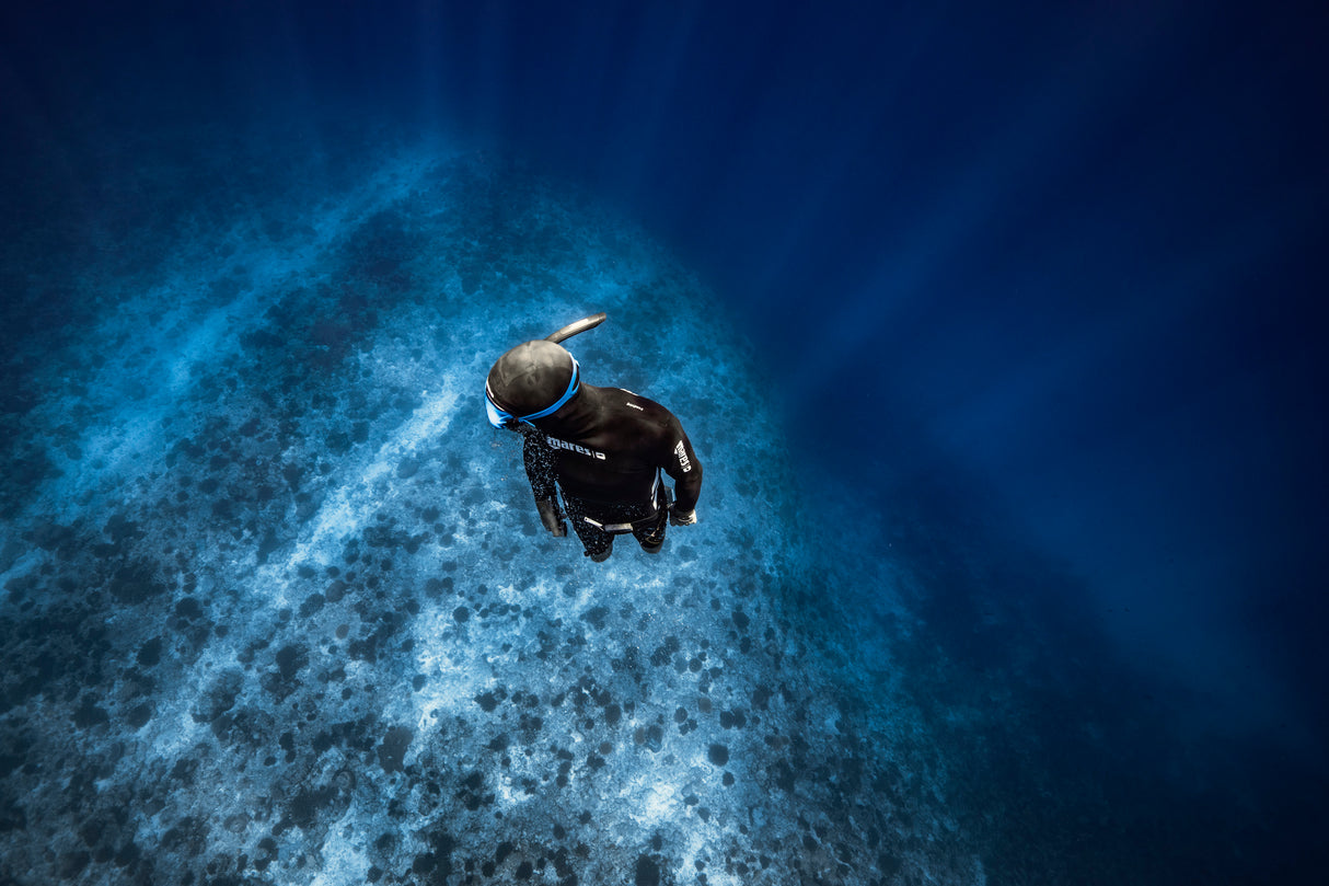 Freediver Poster och Canvastavla