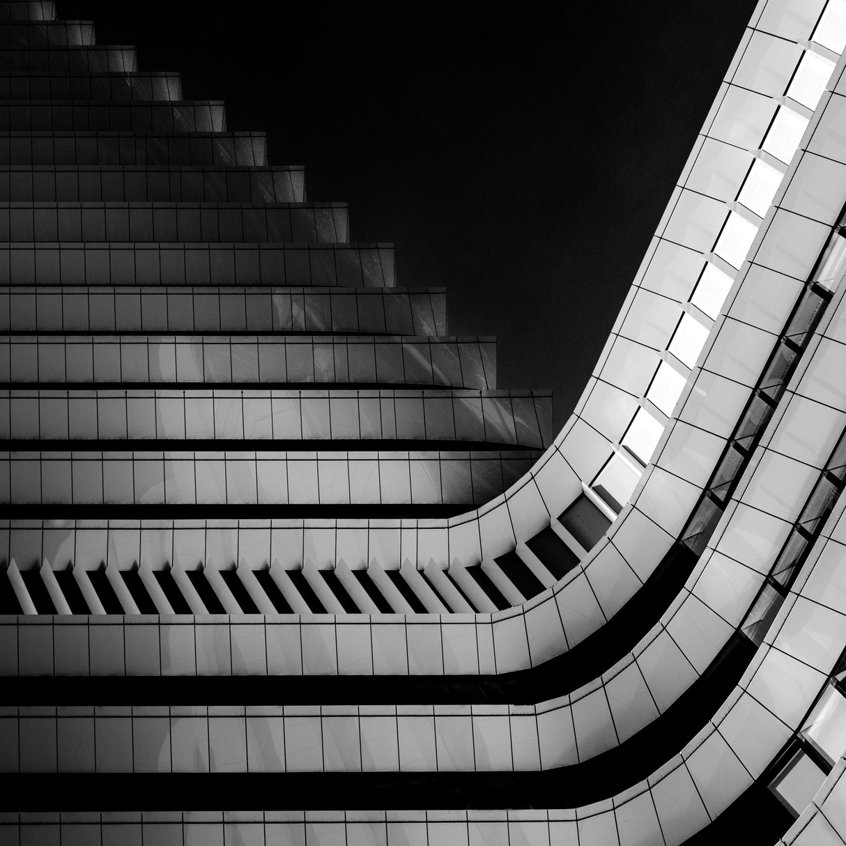Duo of Light and Lines Poster och Canvastavla