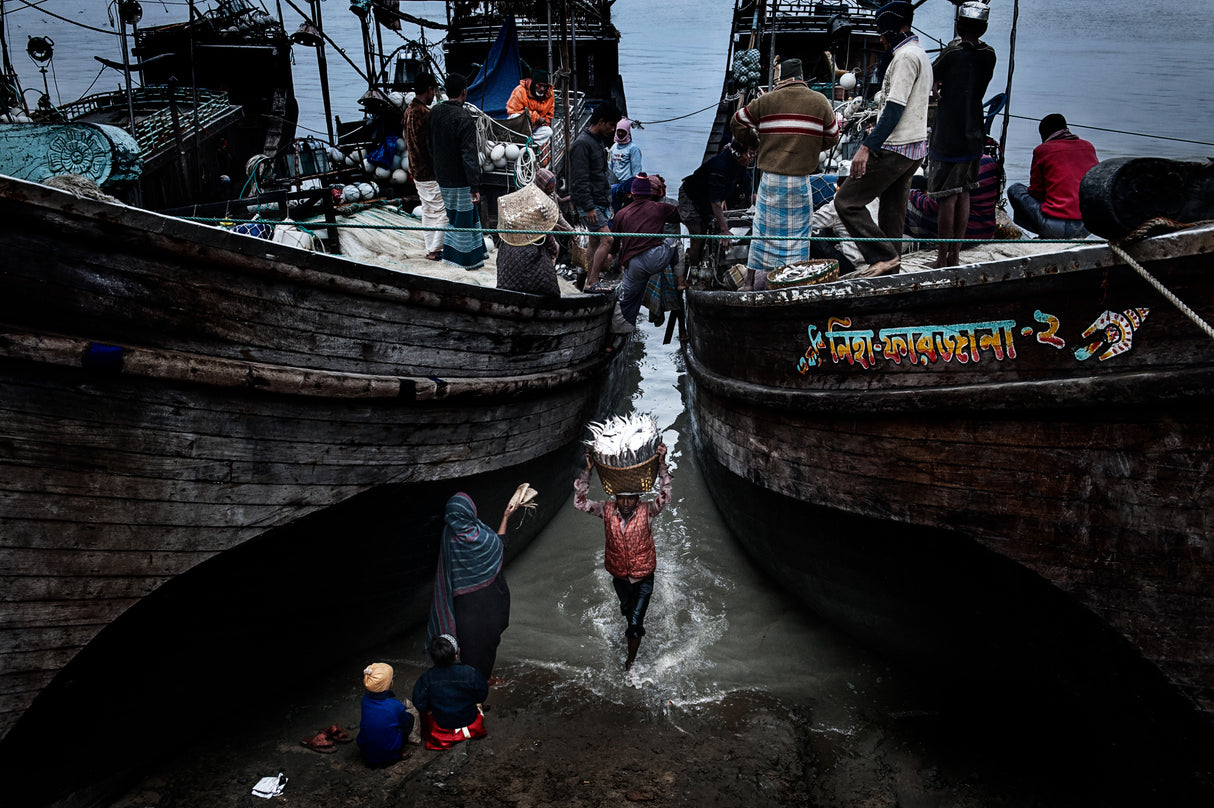 Woman begging for some fish-Bangladesh Poster och Canvastavla