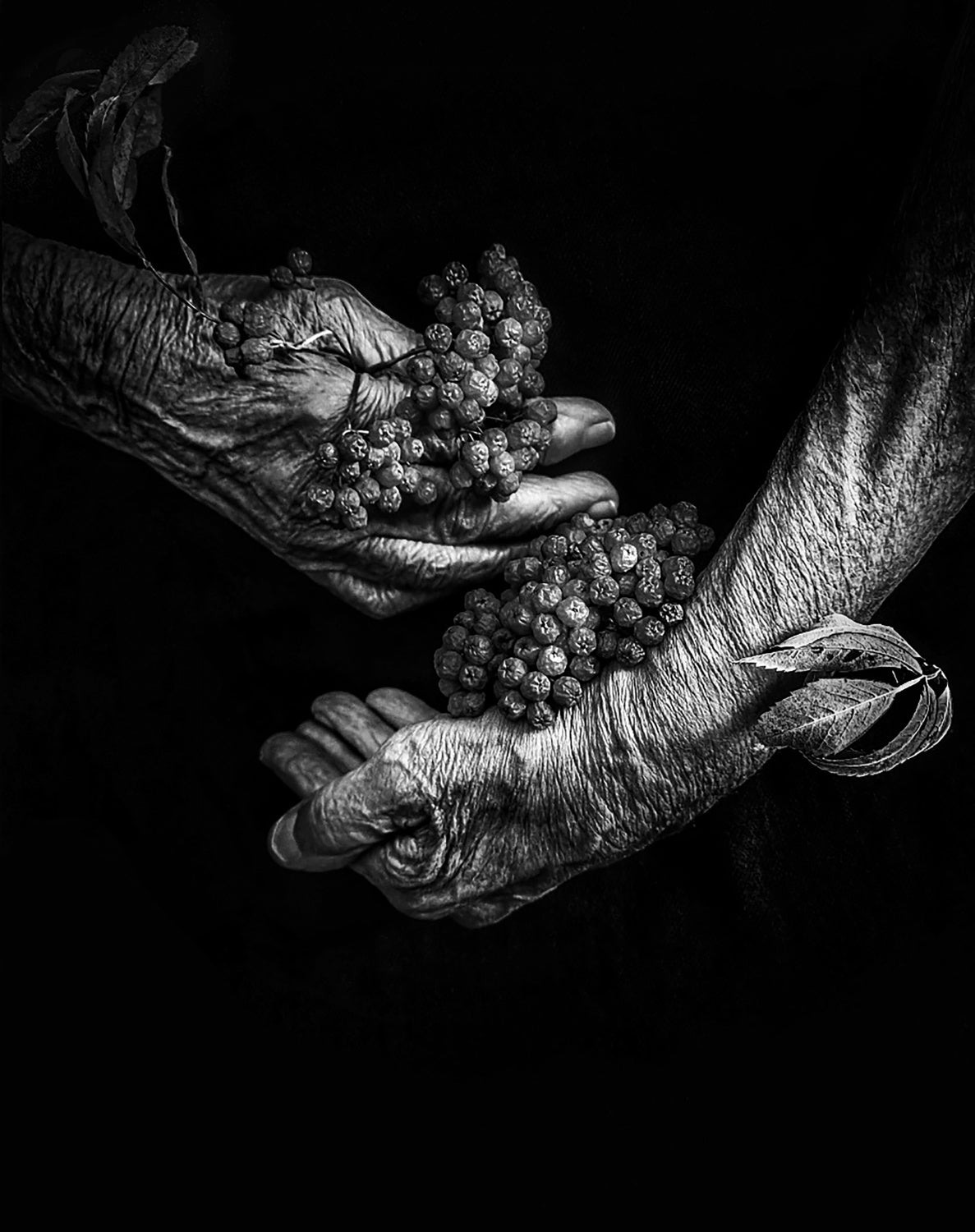Autumn harvest Poster och Canvastavla