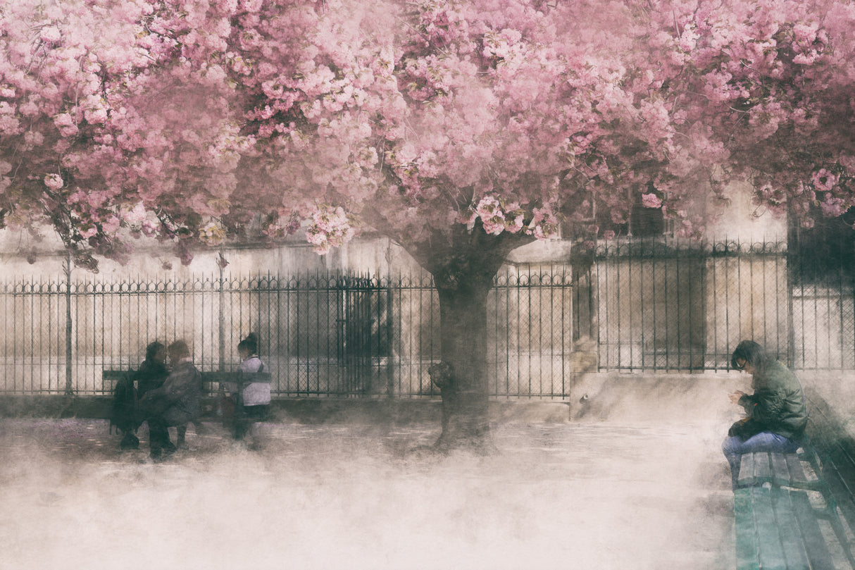 sweet spring Poster och Canvastavla