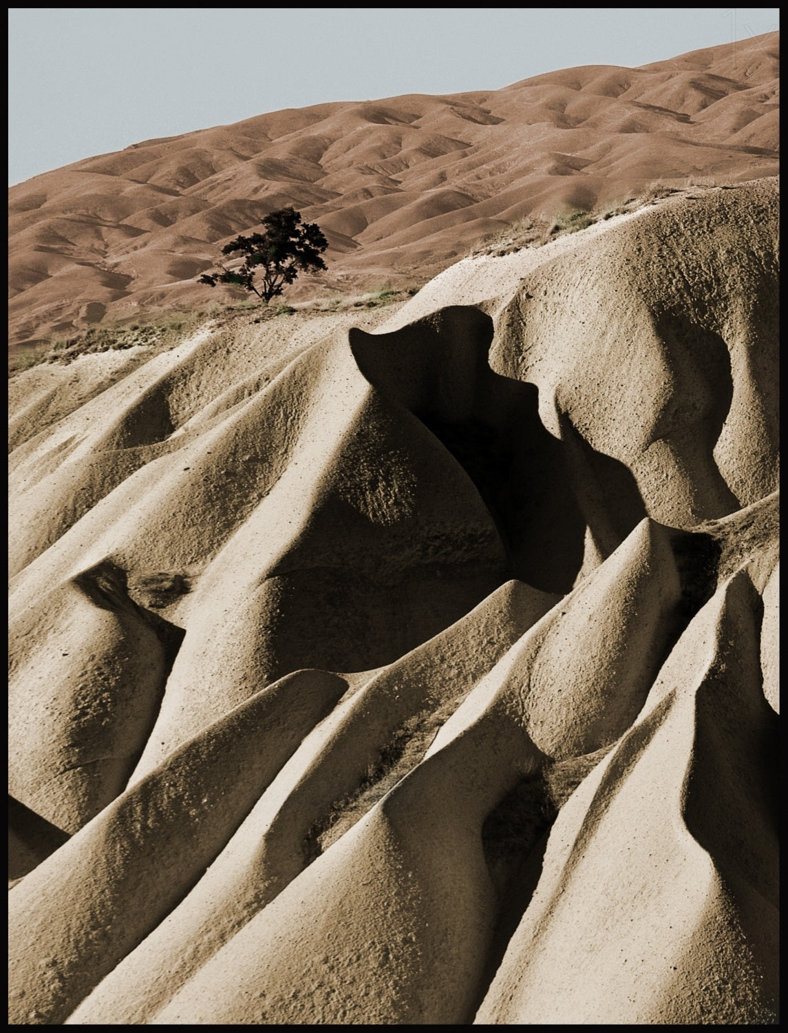 Alone Poster och Canvastavla