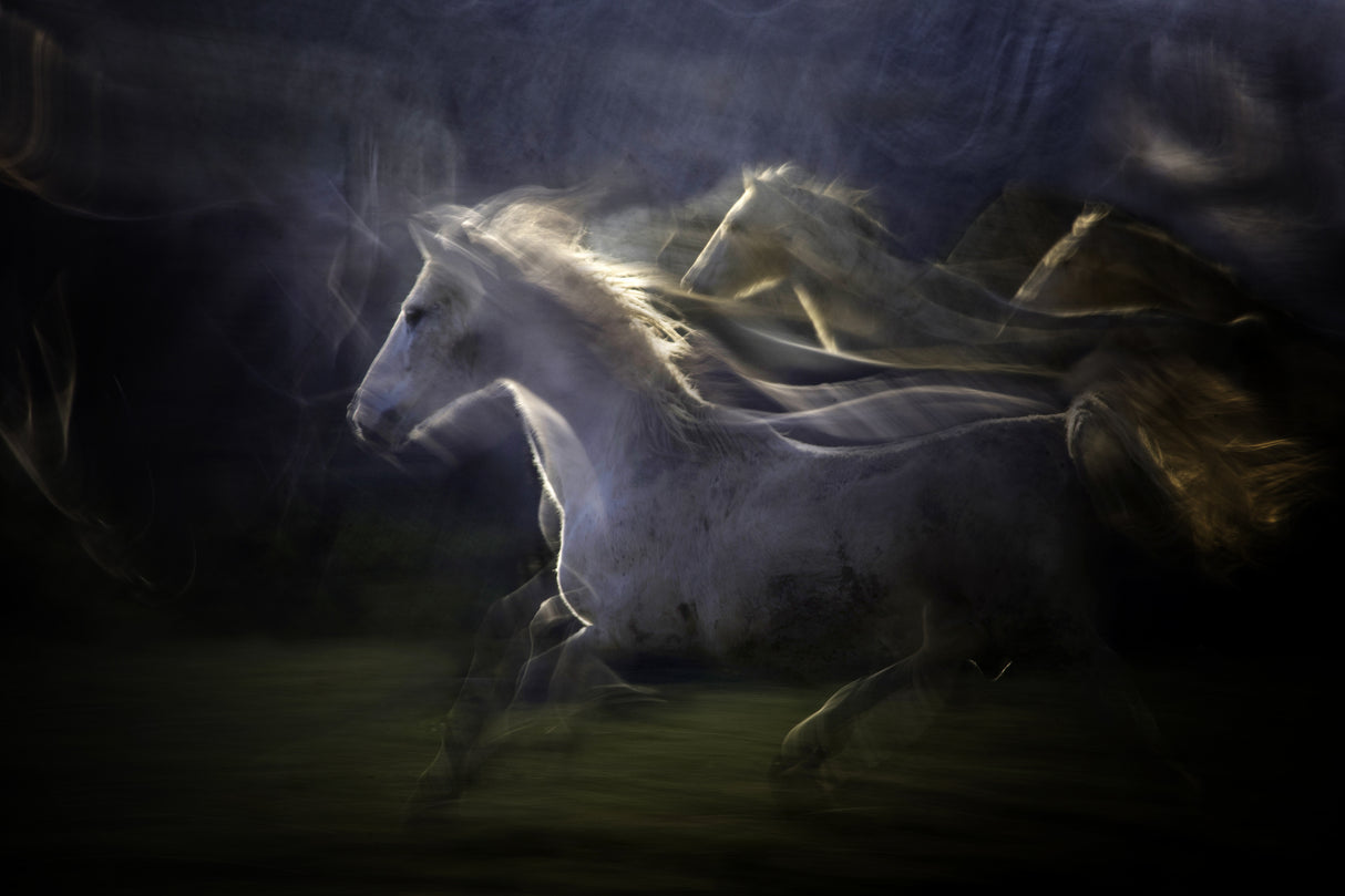 Light echoes Poster och Canvastavla