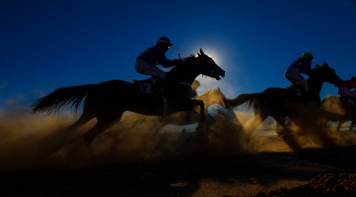 Horse Racing Through The Dust Poster och Canvastavla