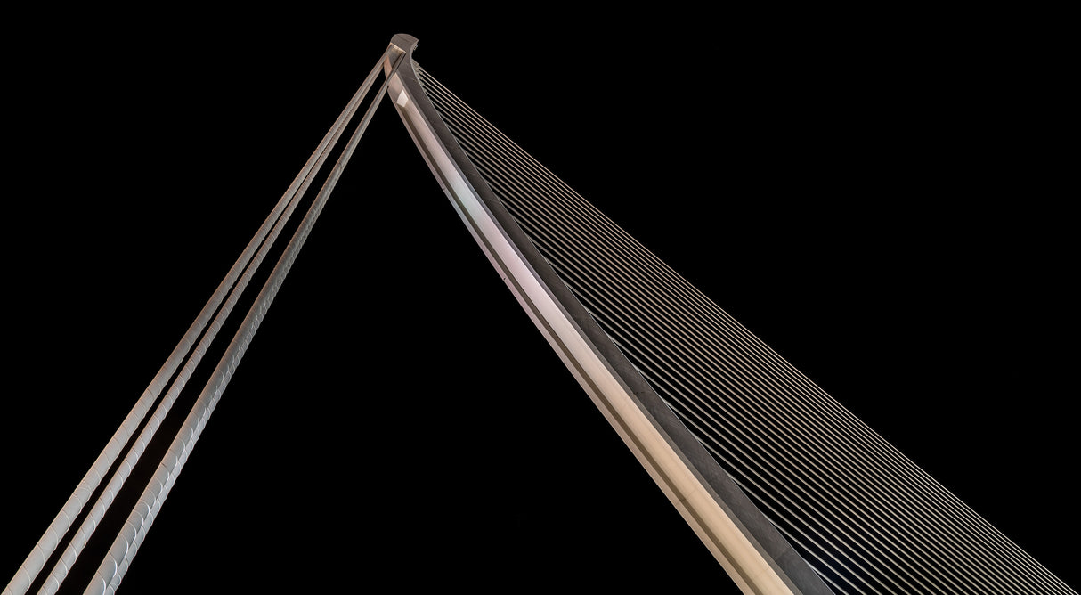 the harp Poster och Canvastavla