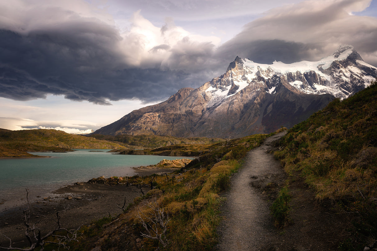 Dreamland Poster och Canvastavla