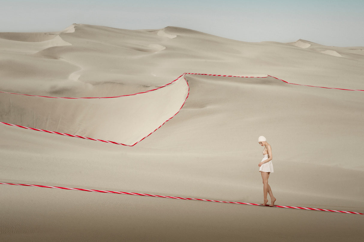 Follow the line Poster och Canvastavla