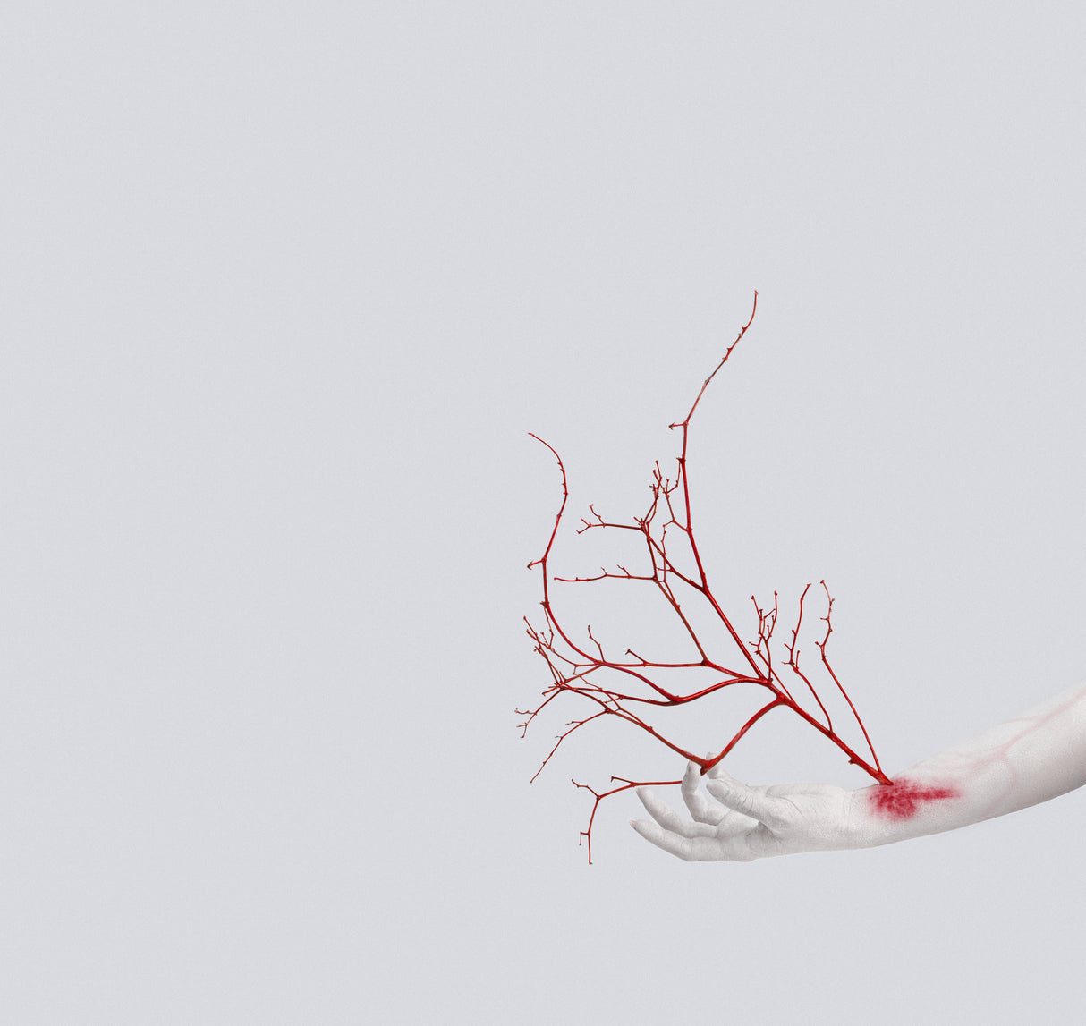 VEINS Poster och Canvastavla