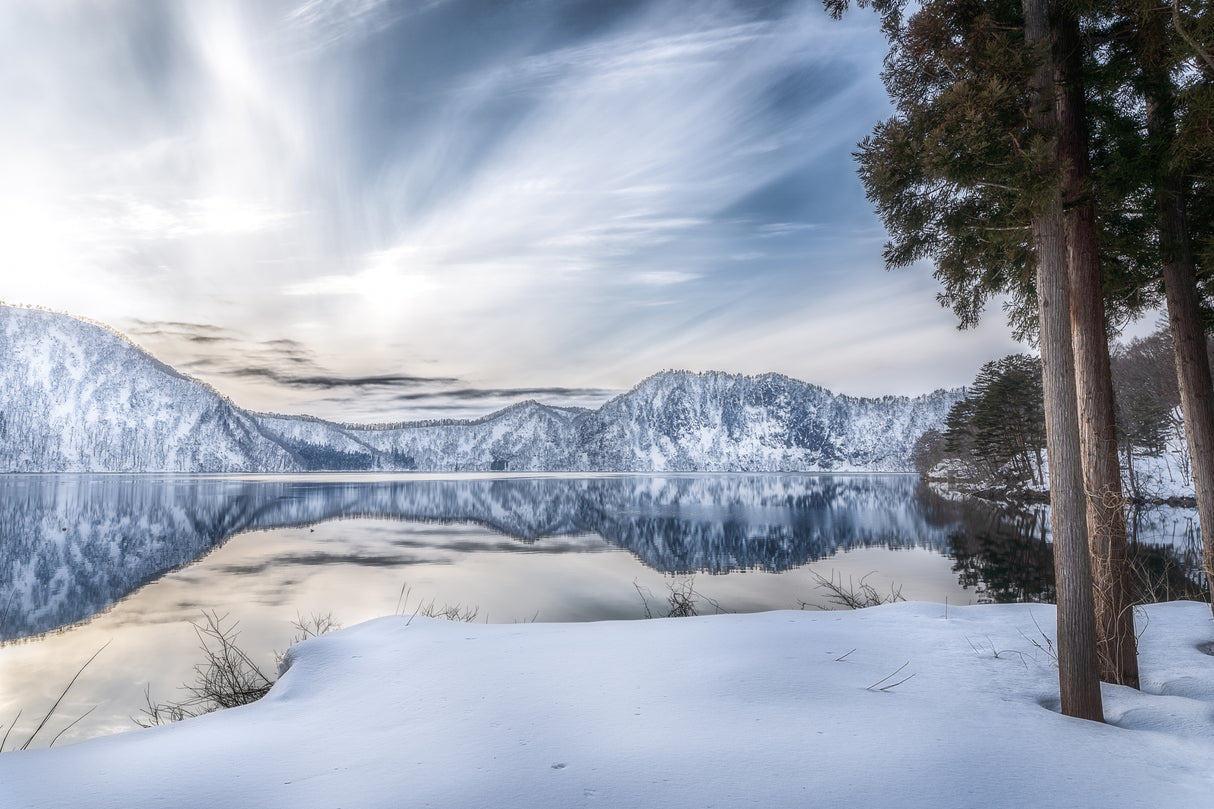 Winter Light Poster och Canvastavla