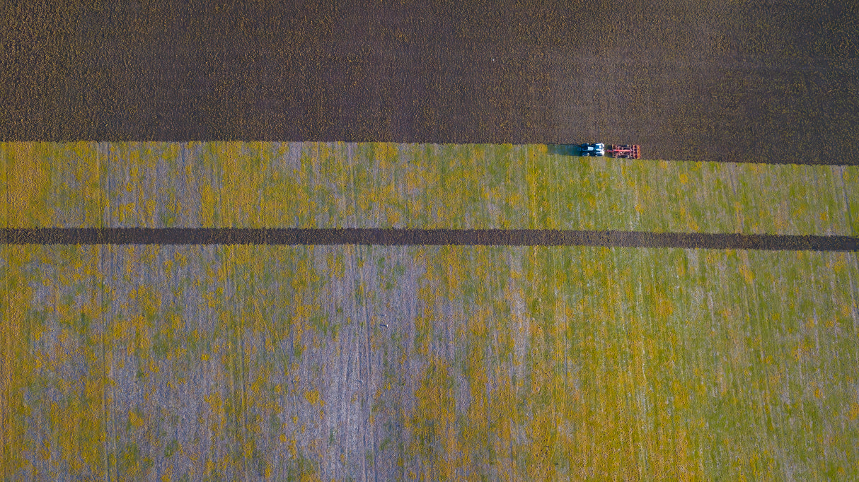 Farmer working Poster och Canvastavla