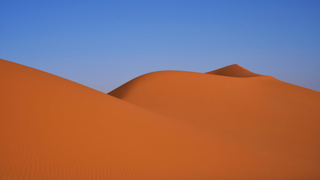 Desert infinity Poster och Canvastavla