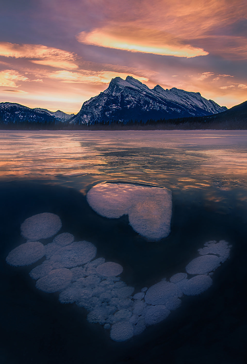 Ice Bubbles in Vermilion Lakes Poster och Canvastavla