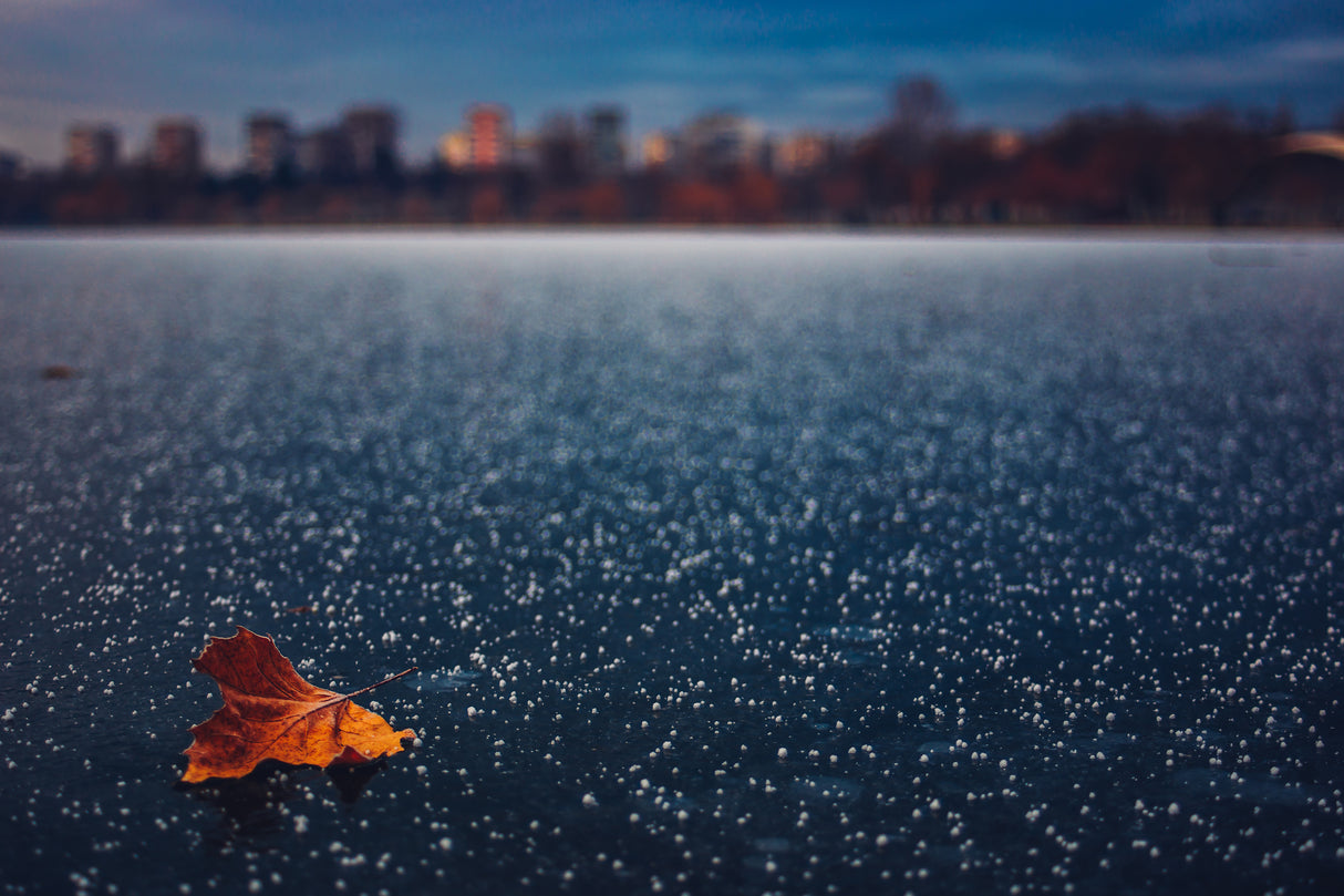 Winter stories Poster och Canvastavla