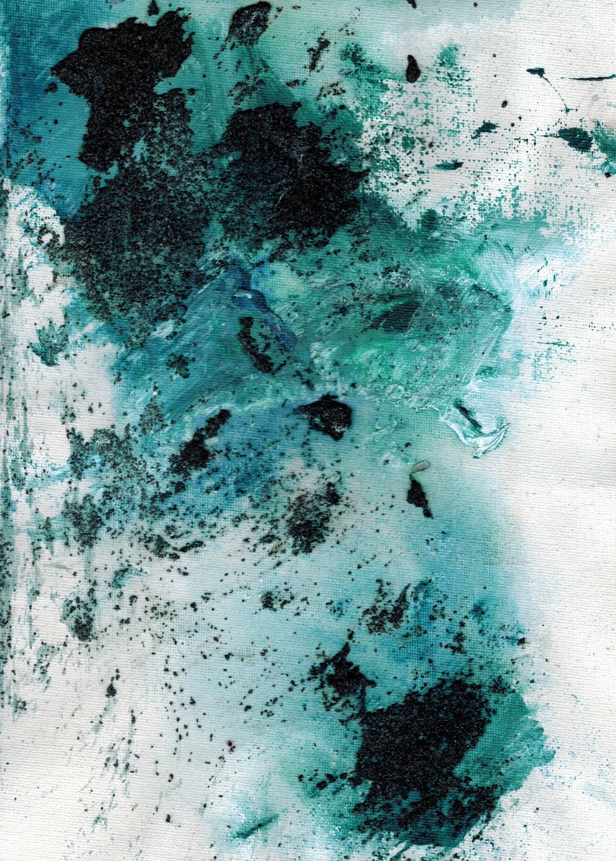 Amphitrite Point West Coast Poster och Canvastavla