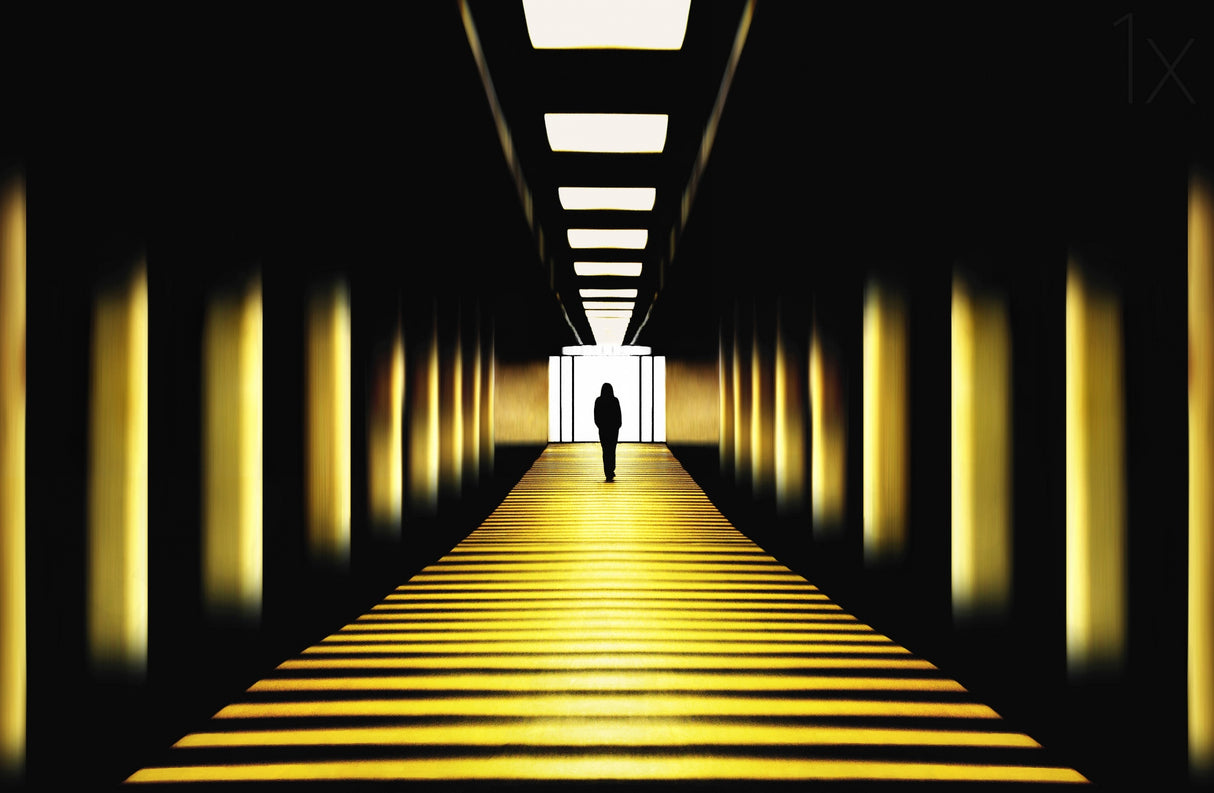 Sunny path Poster och Canvastavla