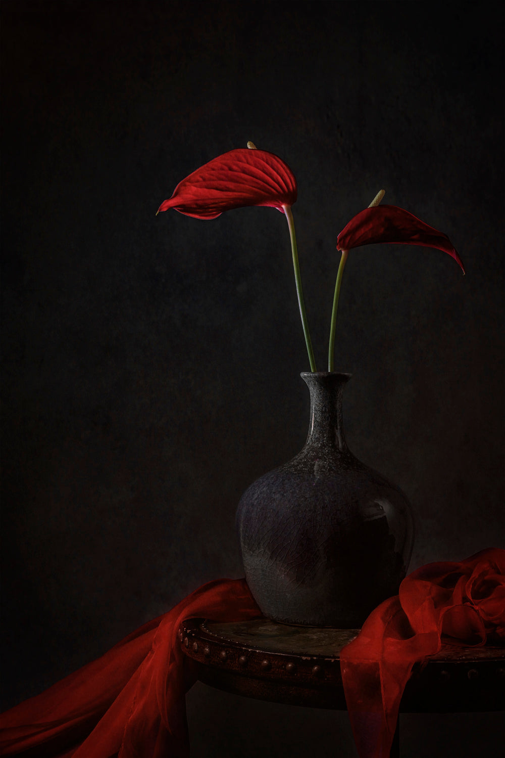Tropical Anthurium Poster och Canvastavla