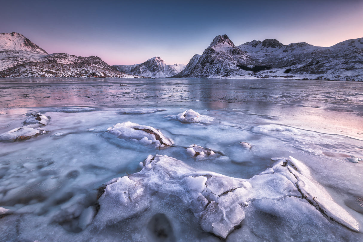 Iced morning Poster och Canvastavla
