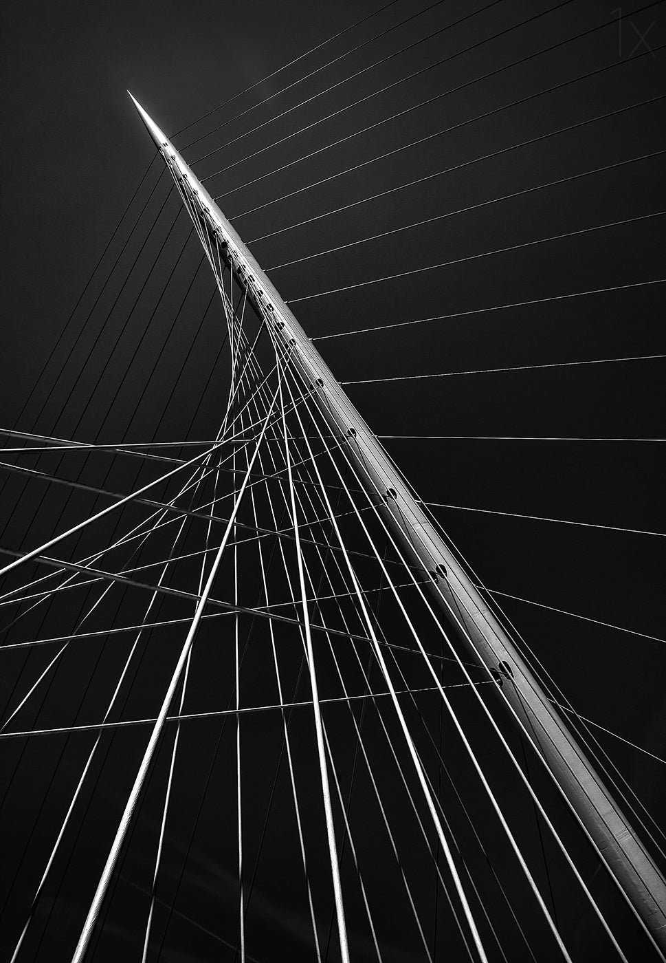 Calatrava's citer music II Poster och Canvastavla