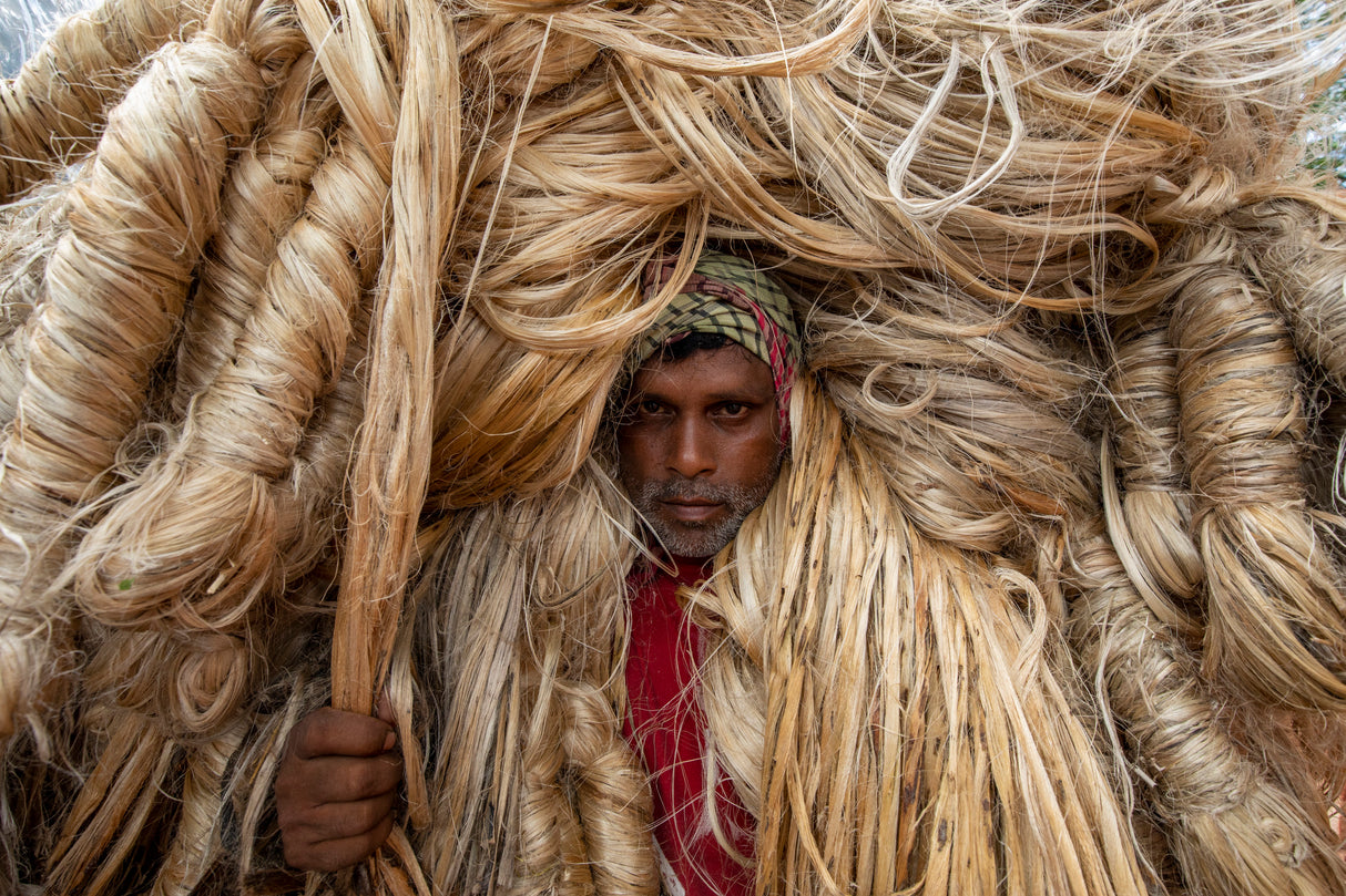 Workers carry heavy jute fibers on their shoulders Poster och Canvastavla