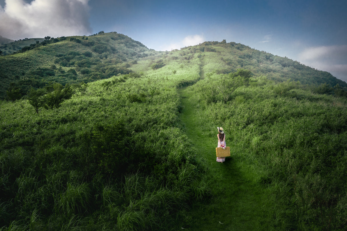 Let's go to the picnic. Poster och Canvastavla