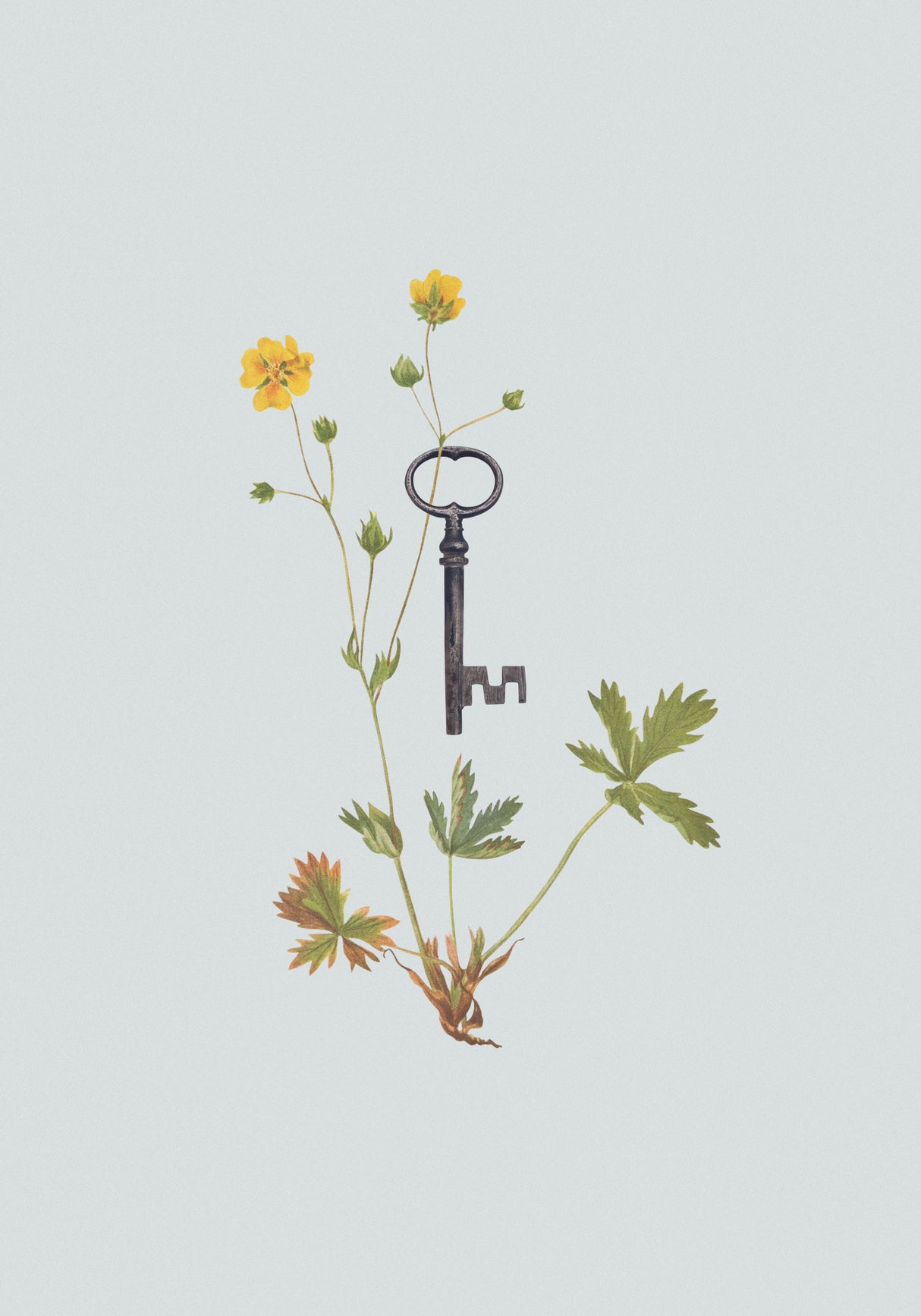 Botanical vintage key Poster och Canvastavla