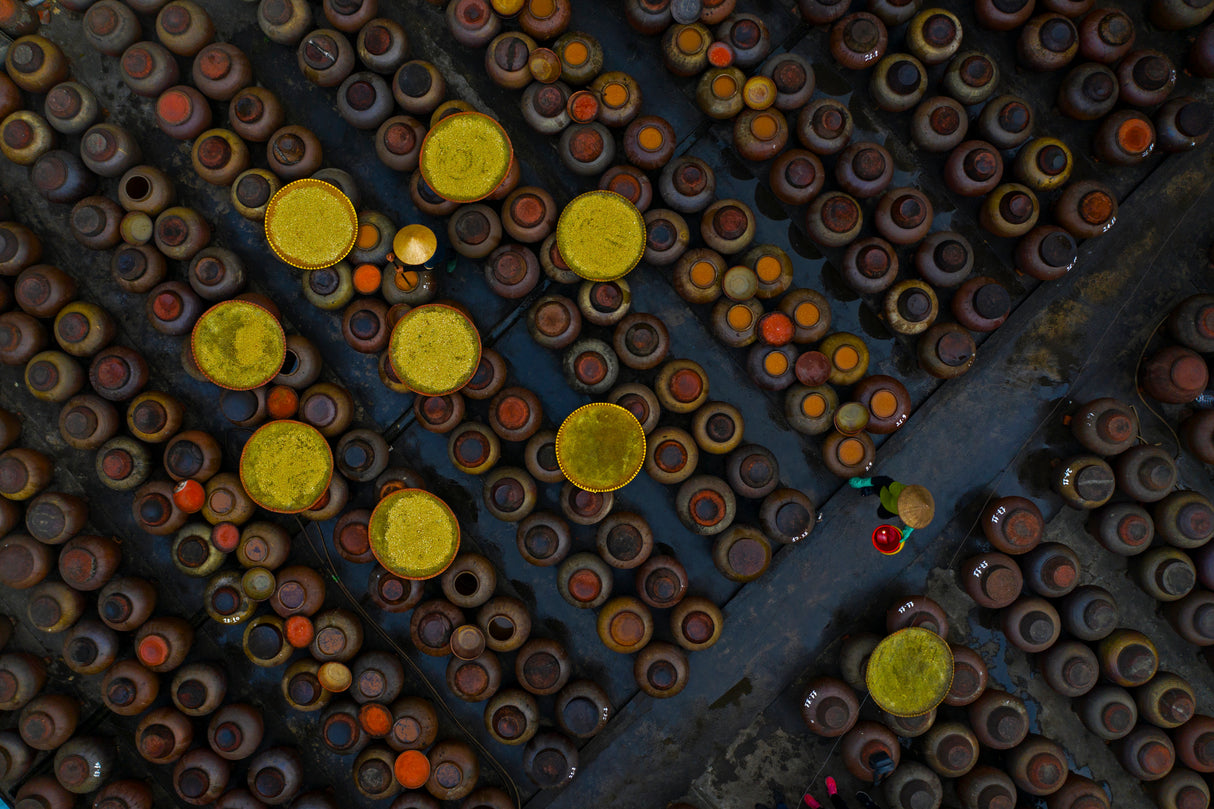 Soy sauce processing Poster och Canvastavla