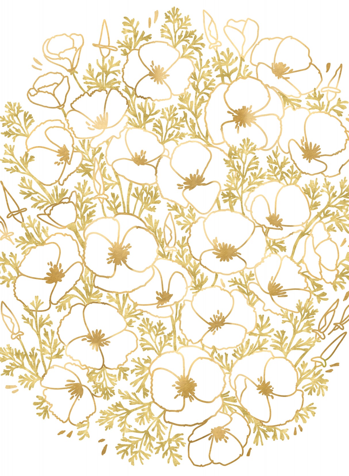 Gold California poppies Poster och Canvastavla