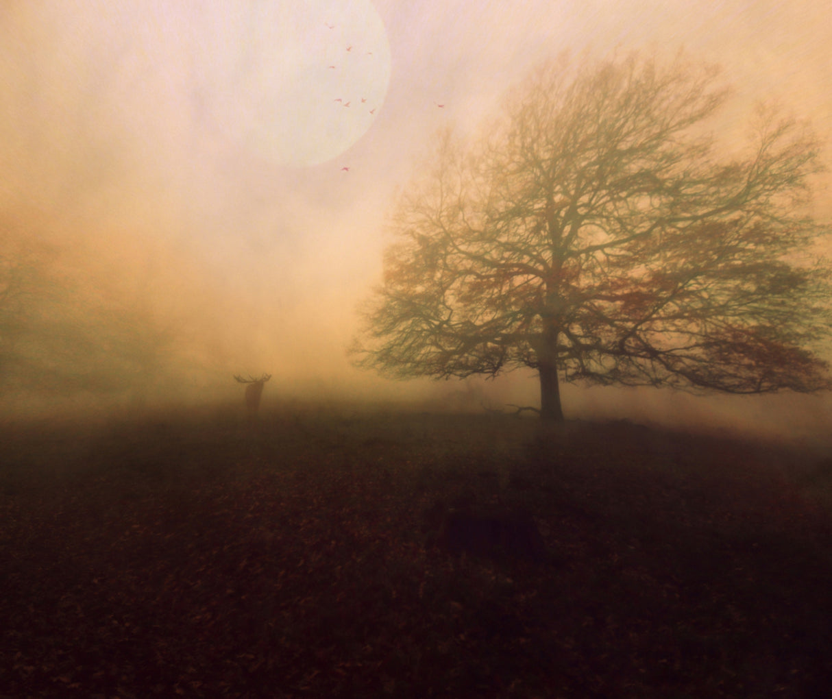 Autumn Is Coming... Poster och Canvastavla