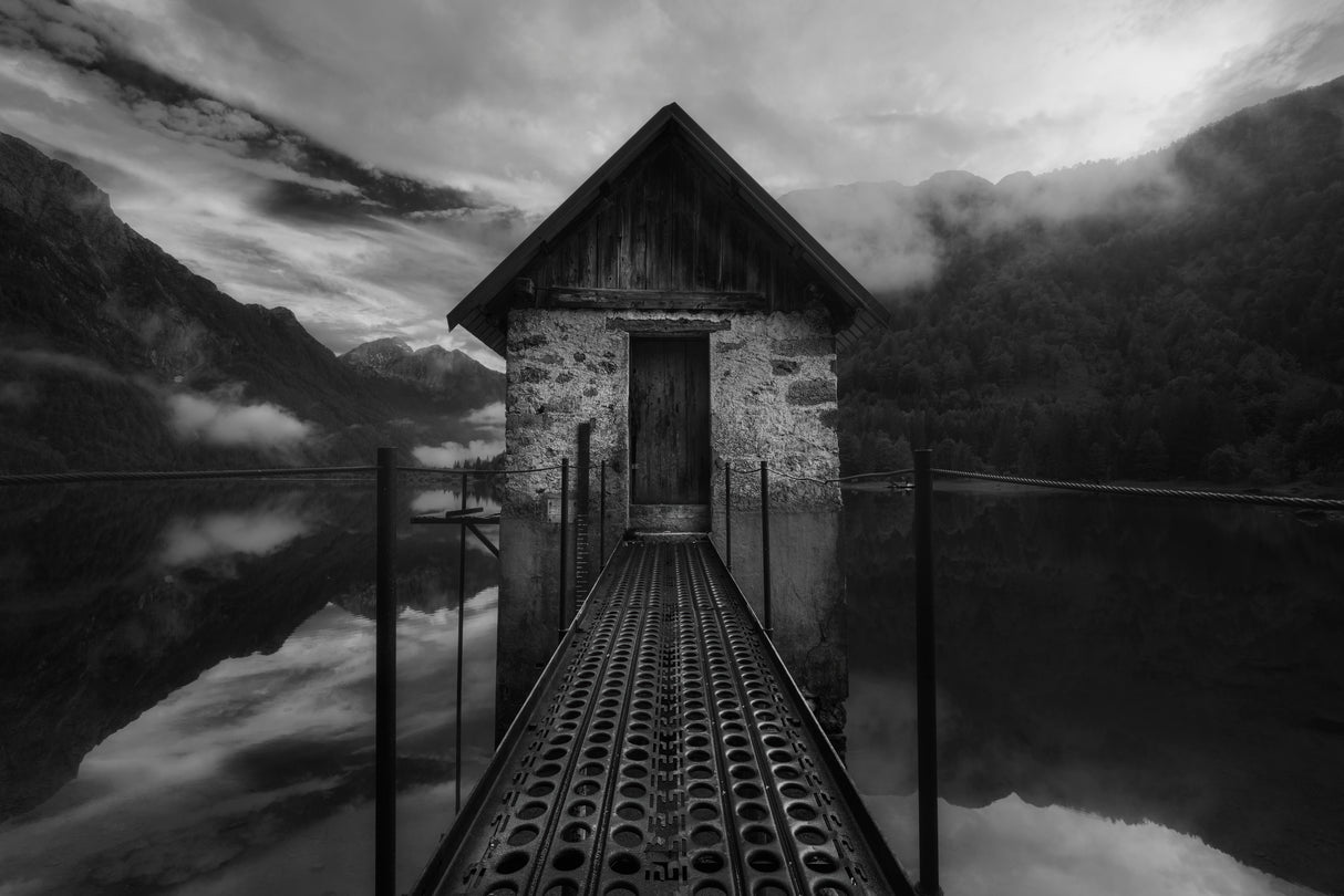 The Path to Decay Poster och Canvastavla