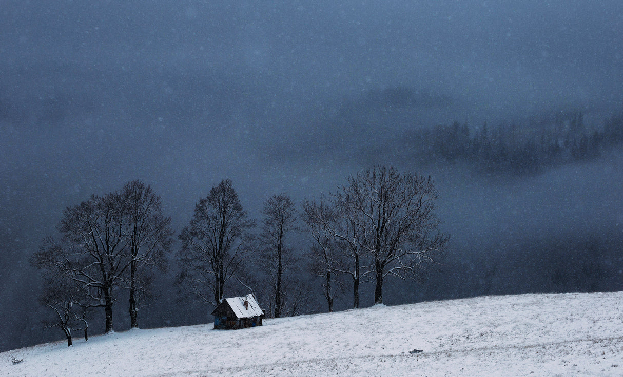 let is snow Poster och Canvastavla