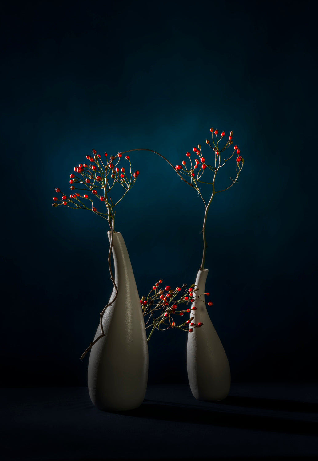 Red berries Poster och Canvastavla
