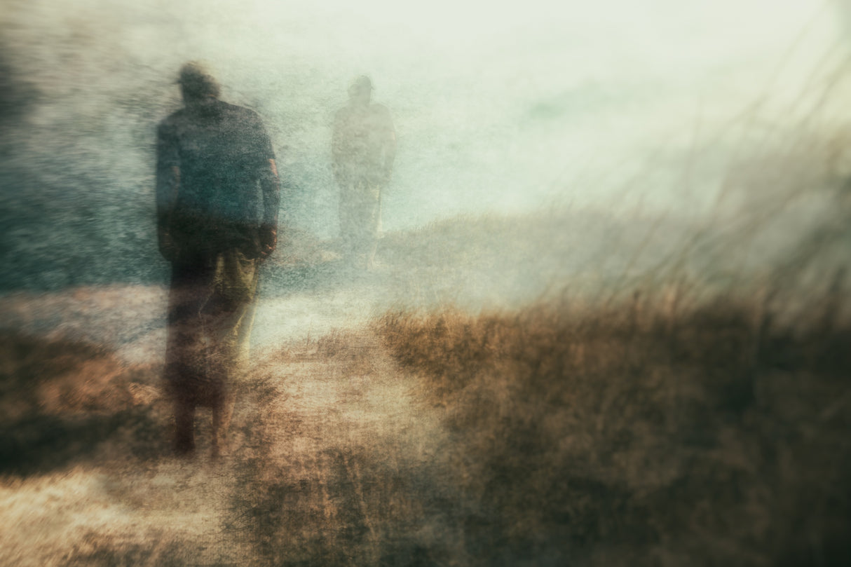 we walk the path alone... Poster och Canvastavla